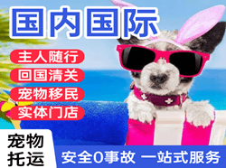 白塔航空快递国际宠物托运 【国
